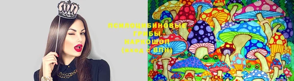 ешки Заводоуковск