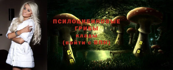 экстази Дмитров