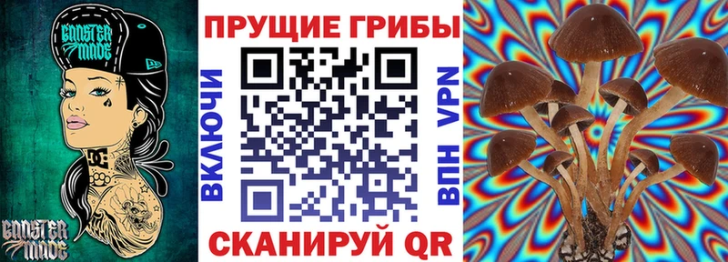 Псилоцибиновые грибы Magic Shrooms  Кедровый 